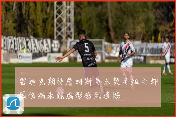 雷迪克期待詹姆斯与东契奇组合却因伤病未能成形感到遗憾